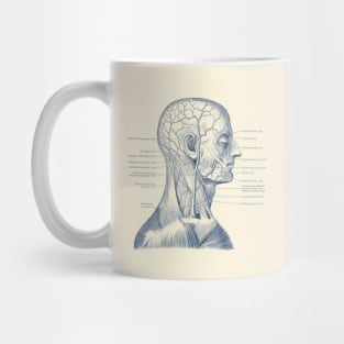 Vascular and Muscular System - Vintage Anatomy Mug